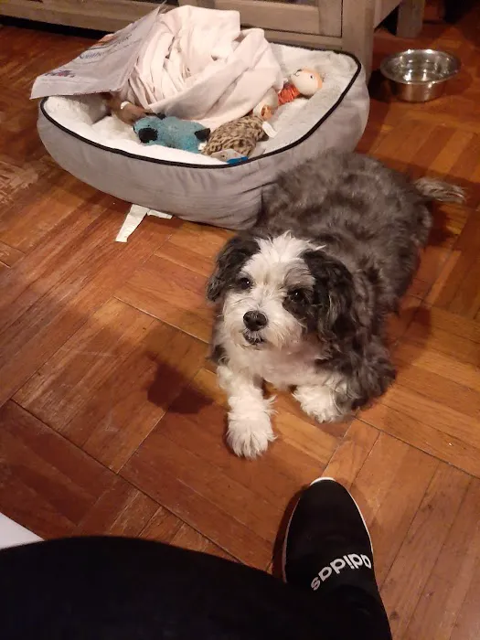 Meller-James & Associates Veterinary Services Picture 7