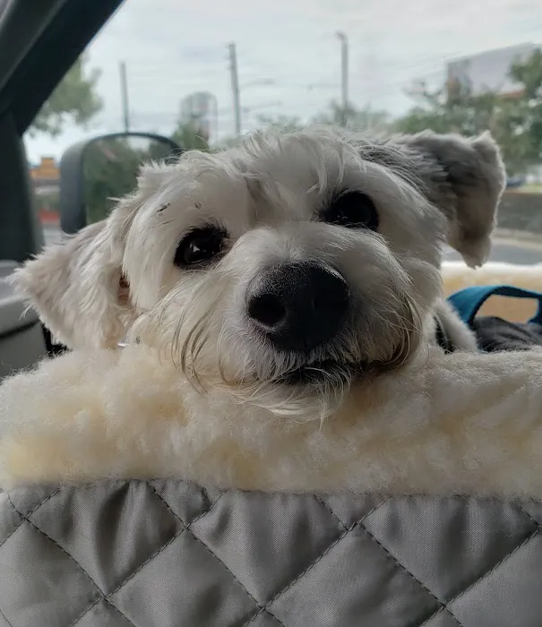 Meller-James & Associates Veterinary Services Picture 8