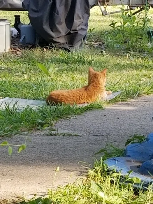 Ulrich's Veterinary Clinic Picture 2