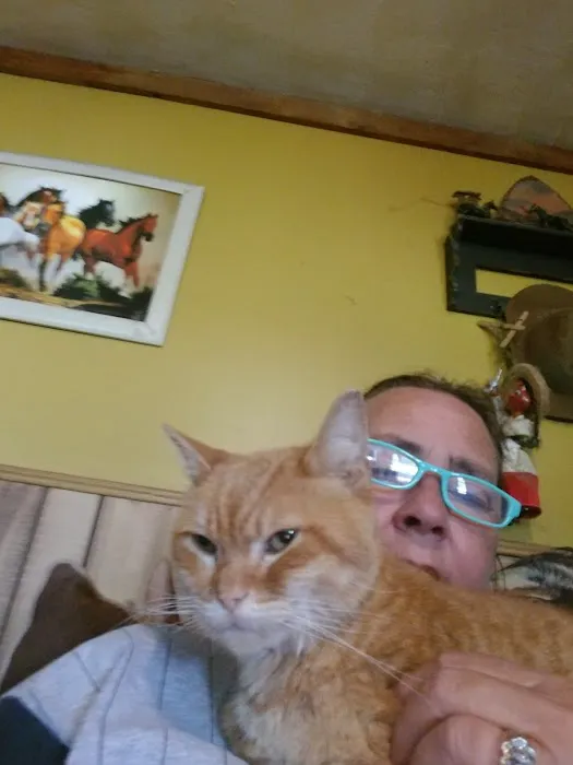 Ulrich's Veterinary Clinic Picture 1