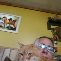 Ulrich's Veterinary Clinic ico