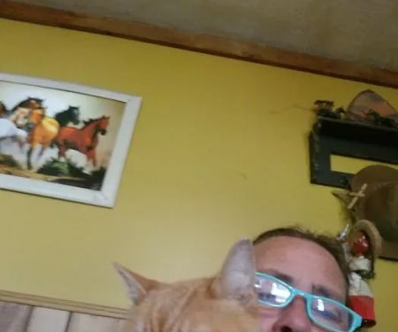 Ulrich's Veterinary Clinic