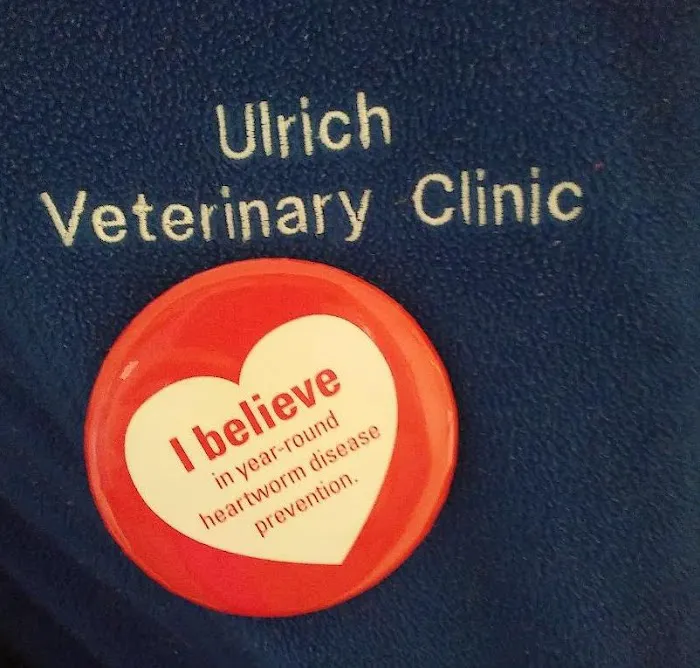 Ulrich's Veterinary Clinic Picture 6