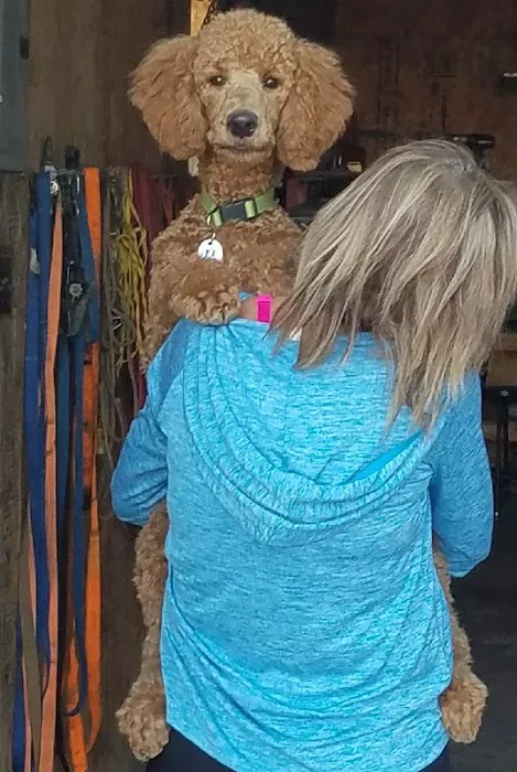 Cross Point Animal Hospital Picture 7