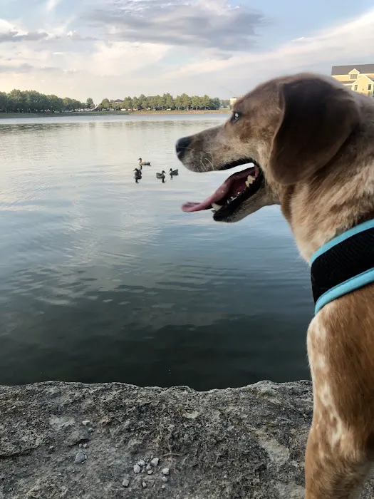 Cross Point Animal Hospital Picture 8