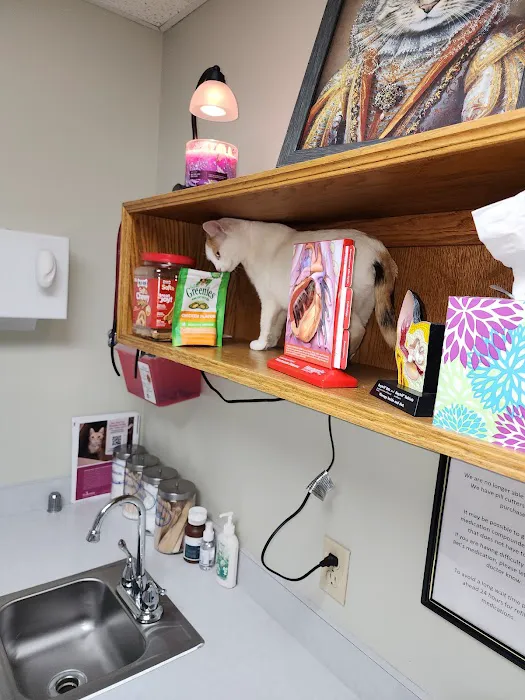 Lacroix Pet Hospital Picture 3