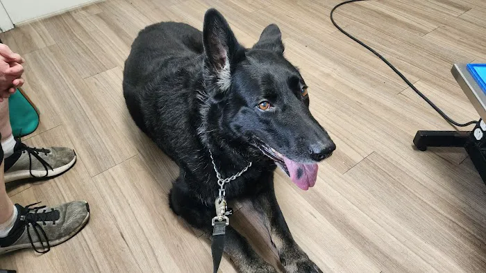 Lacroix Pet Hospital Picture 5