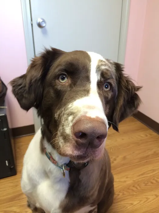 Lacroix Pet Hospital Picture 9