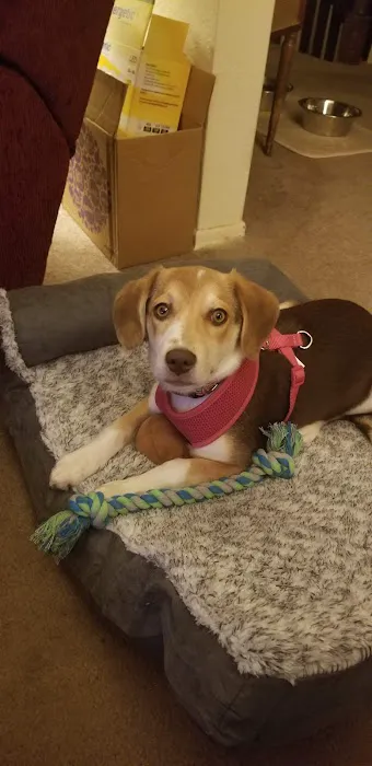 Lacroix Pet Hospital Picture 6