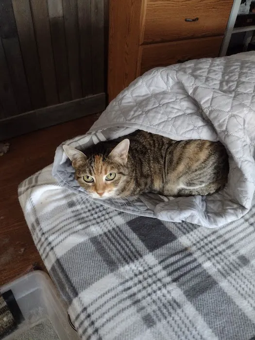 Cape Small Animal Clinic Picture 2