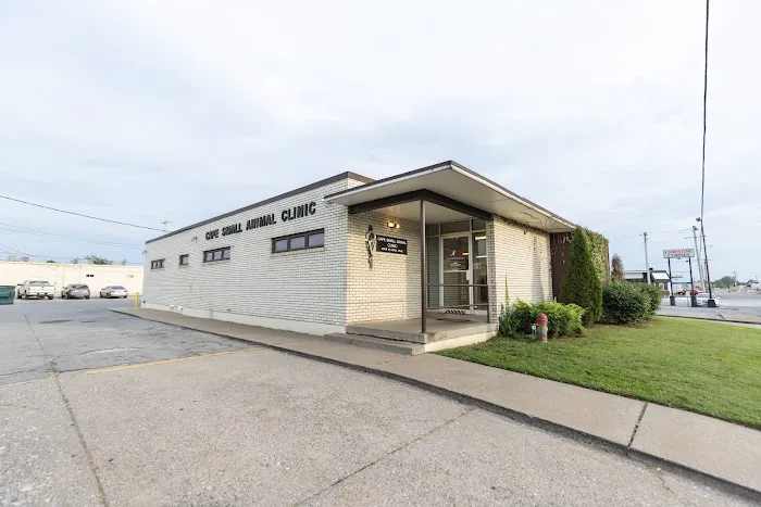 Cape Small Animal Clinic Picture 4