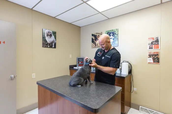 Cape Small Animal Clinic Picture 5