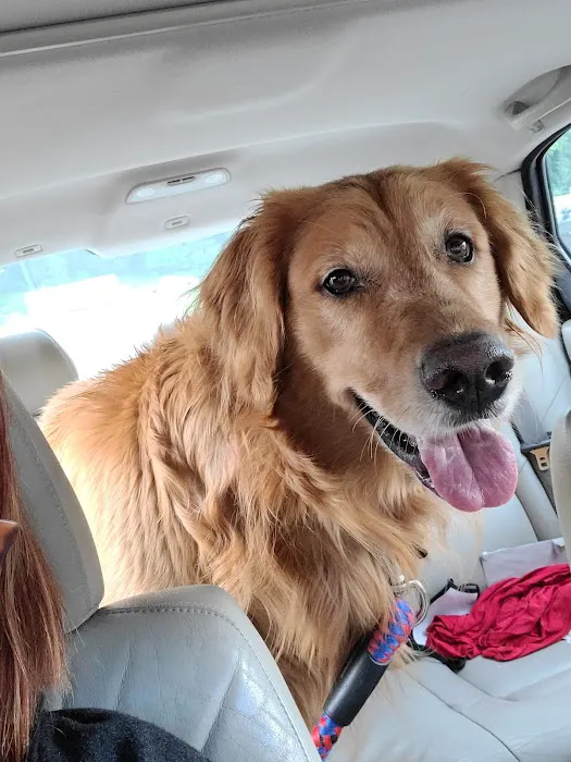 Rebecca Darland Pet Clinic, Inc Picture 5