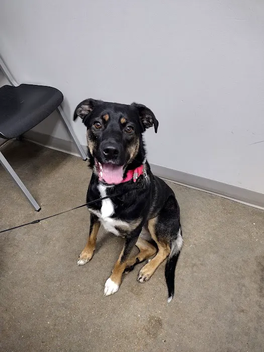 Jones Animal Health Center Picture 4