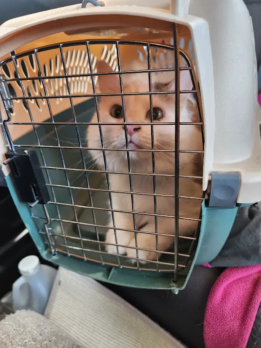 Jones Animal Health Center Picture 1