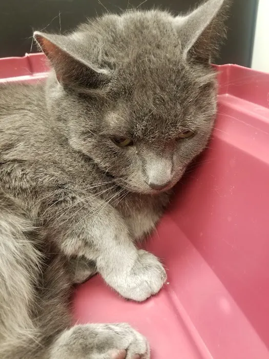 Jones Animal Health Center Picture 2