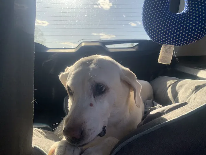 Jones Animal Health Center Picture 7