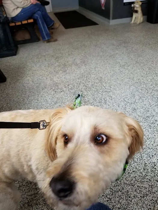 Jones Animal Health Center Picture 6