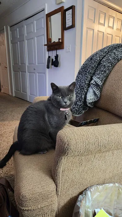 Jones Animal Health Center Picture 5