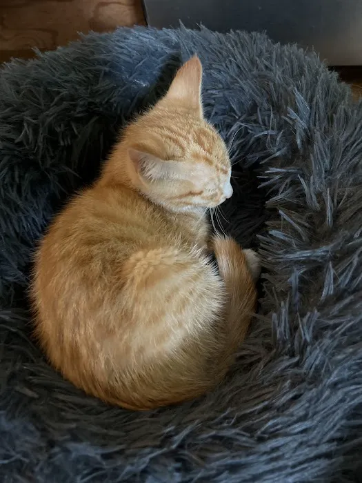 Orchard Hills Veterinary Clinic Picture 4