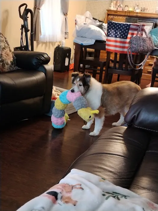 Orchard Hills Veterinary Clinic Picture 1