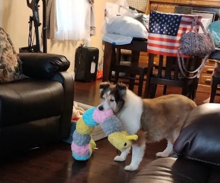 Orchard Hills Veterinary Clinic