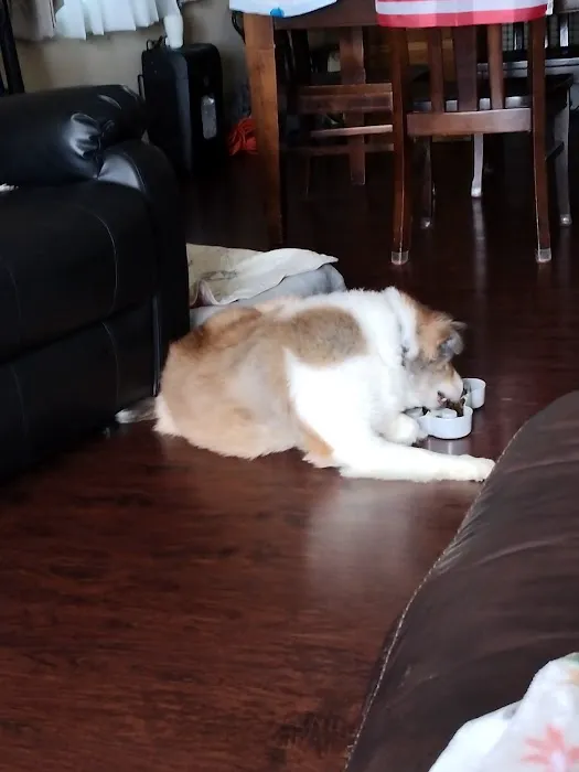 Orchard Hills Veterinary Clinic Picture 2