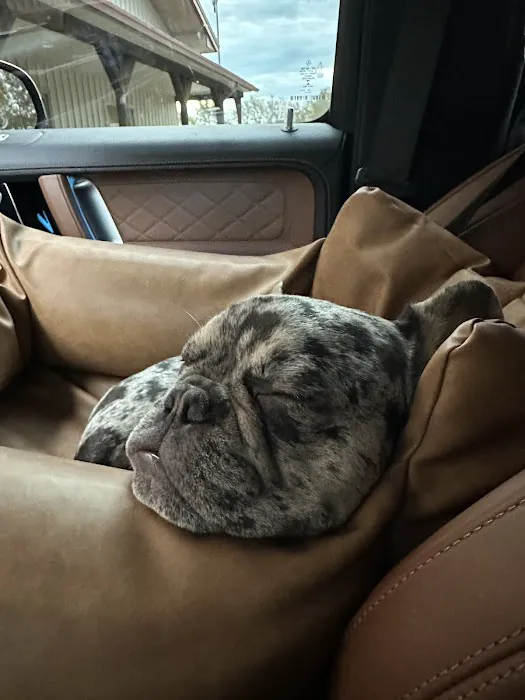 Veterinary Clinic Of The Mineral Area Picture 2