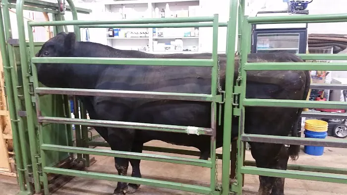 Veterinary Clinic Of The Mineral Area Picture 3