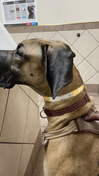 Veterinary Clinic Of The Mineral Area Picture 9