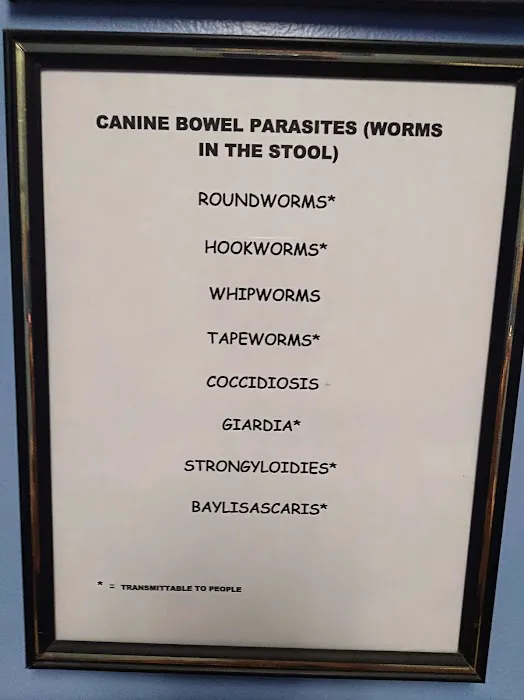 Animal Clinic of Herculaneum Picture 2