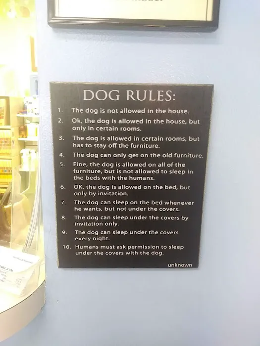 Animal Clinic of Herculaneum Picture 3