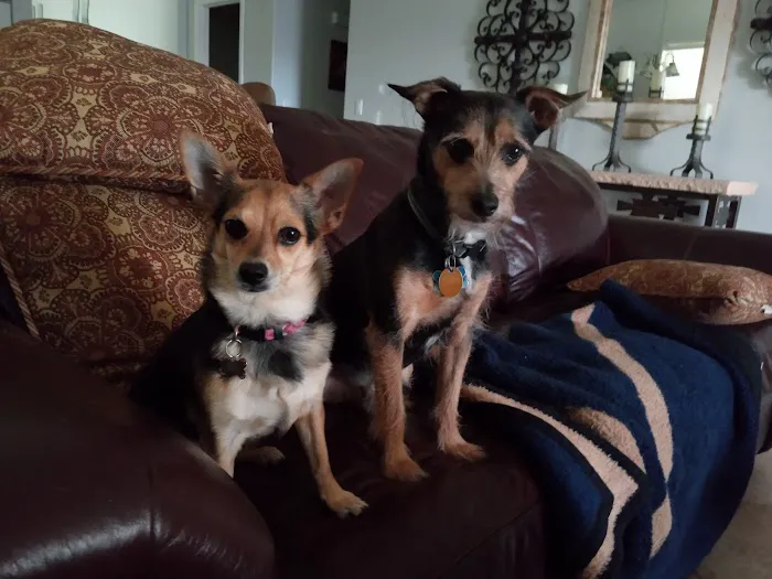 Arnold Animal Hospital Picture 9