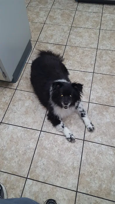 Arnold Animal Hospital Picture 7