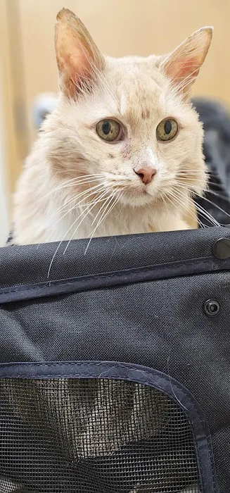 Vogel Veterinary Hospital Picture 2