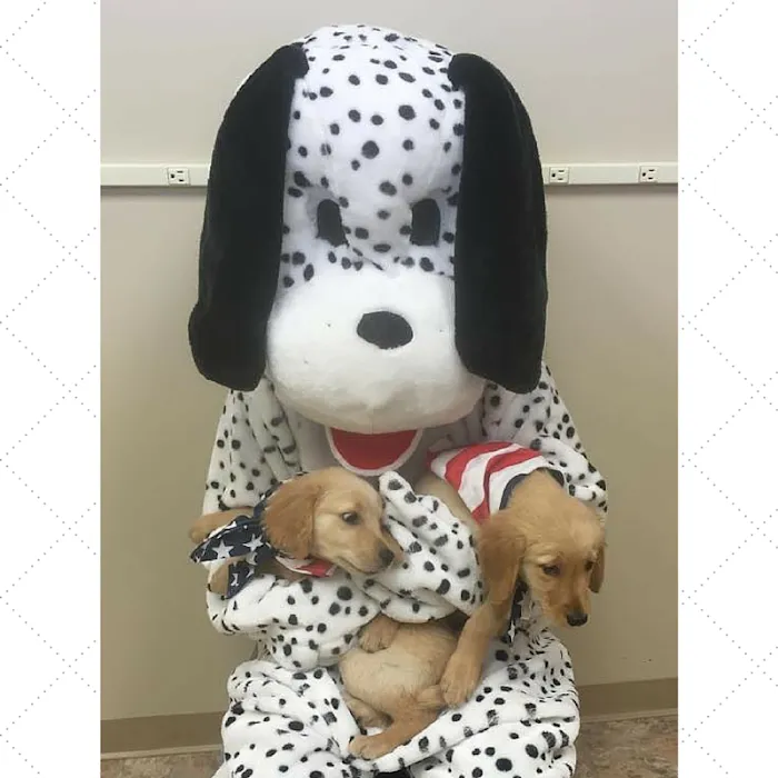 Vogel Veterinary Hospital Picture 10