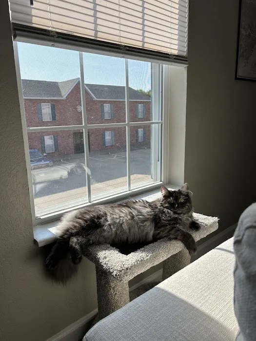 LeGrand Siberians Picture 2