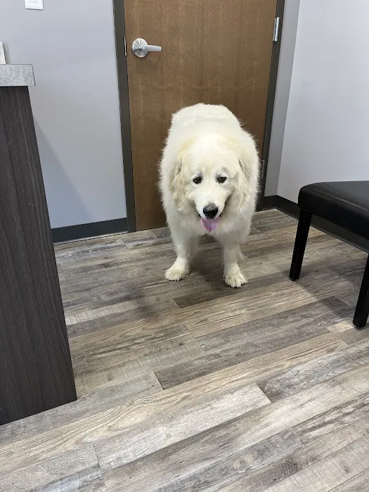 Animal House Veterinary Hospital Picture 1