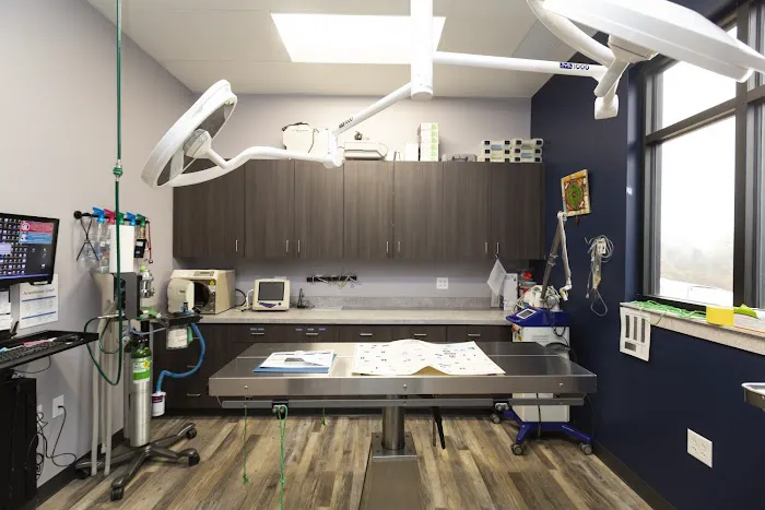 Animal House Veterinary Hospital Picture 2