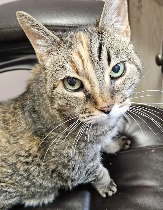 Animal House Veterinary Hospital Picture 8