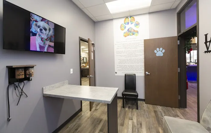Animal House Veterinary Hospital Picture 7