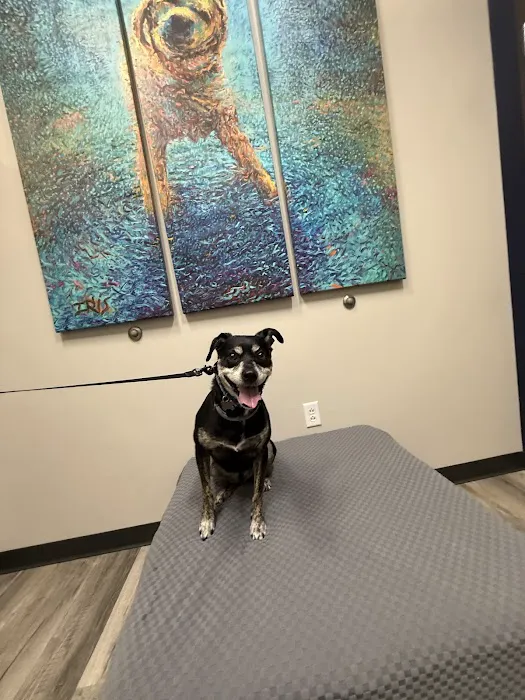 Animal House Veterinary Hospital Picture 4