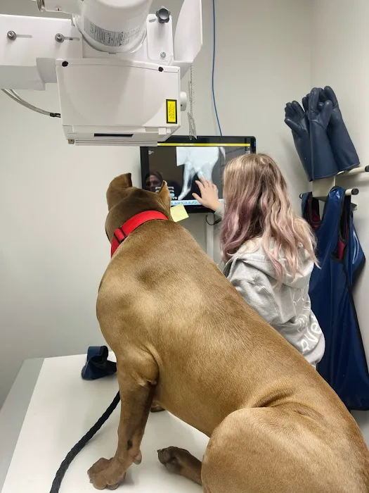 R Veterinary at Romaine Creek Picture 3