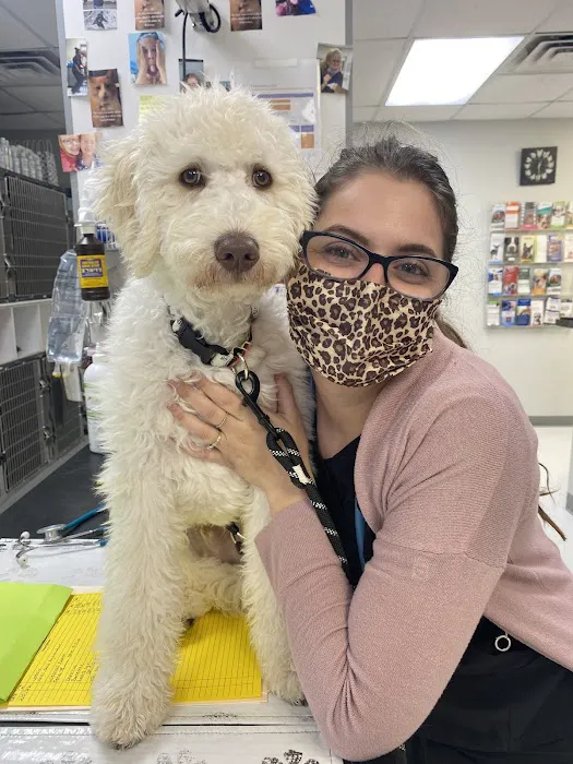 R Veterinary at Romaine Creek Picture 2