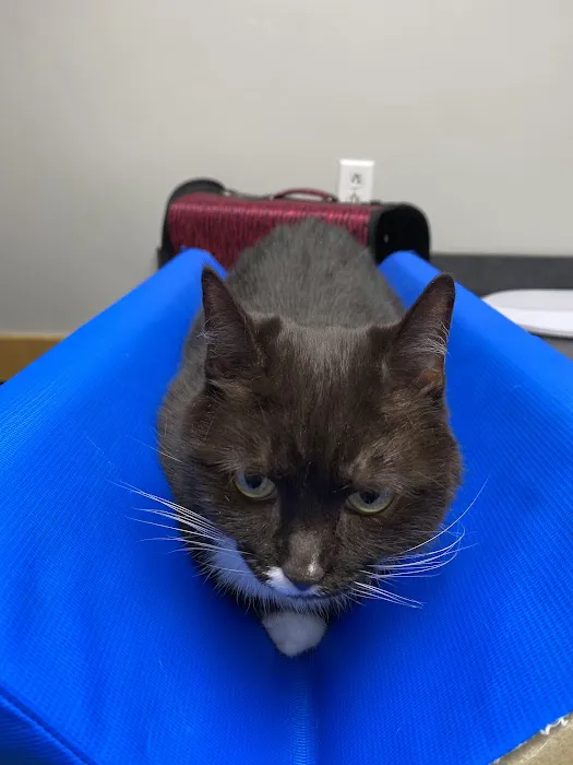 R Veterinary at Romaine Creek Picture 1