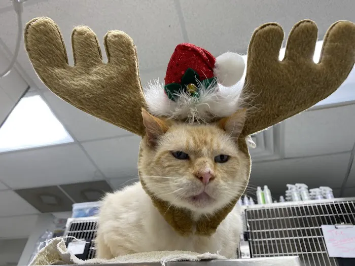 R Veterinary at Romaine Creek Picture 7