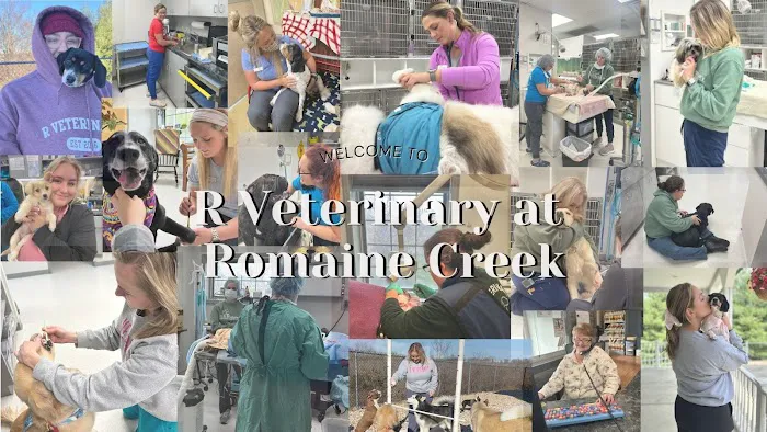 R Veterinary at Romaine Creek Picture 4