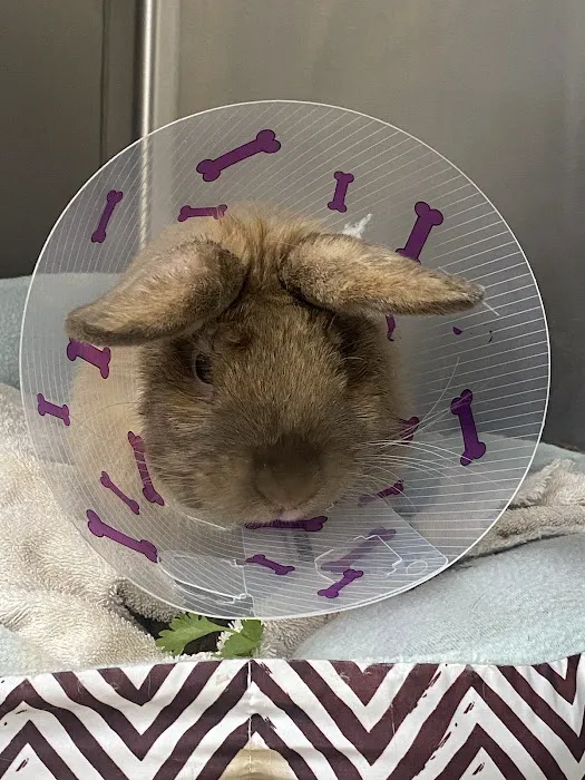 R Veterinary at Romaine Creek Picture 8