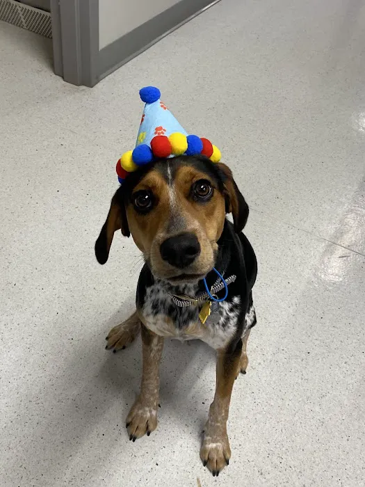 R Veterinary at Romaine Creek Picture 5