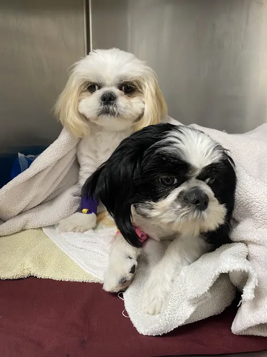 R Veterinary at Romaine Creek Picture 6